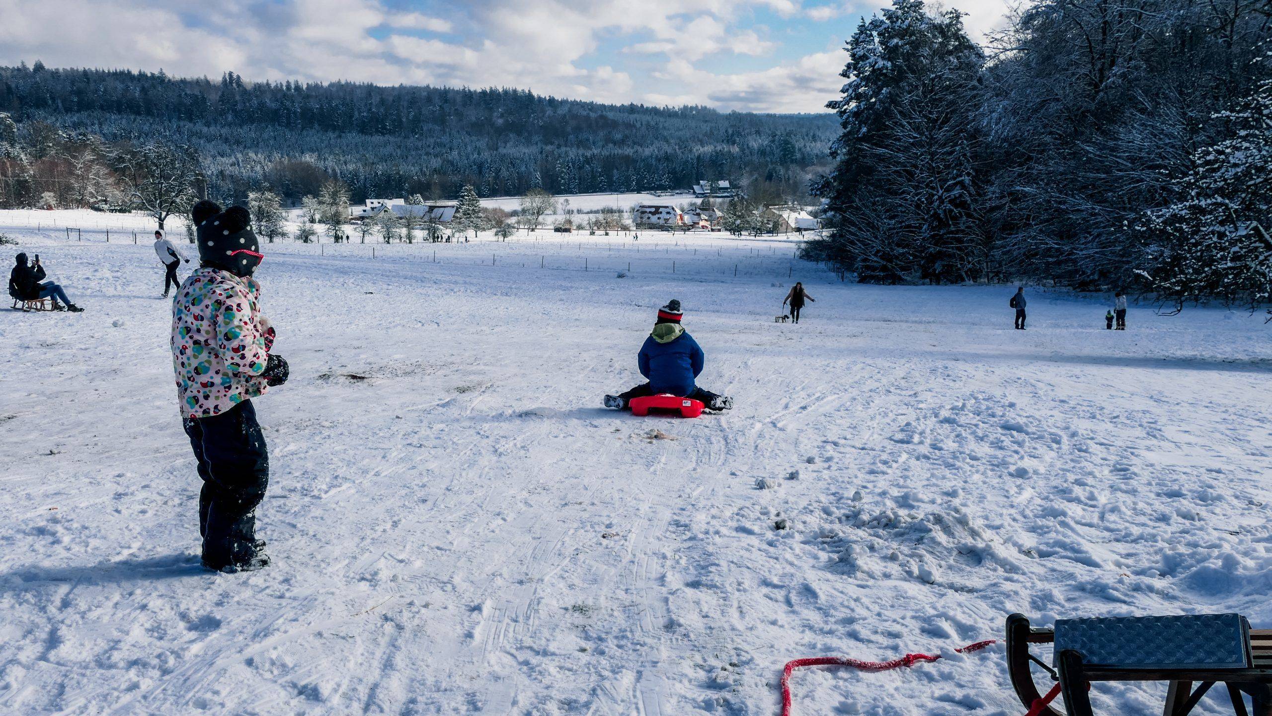 Schwarzwald Rodeln Kinder