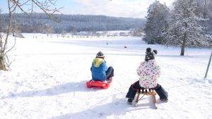 Schlittenfahren Schwarzwald