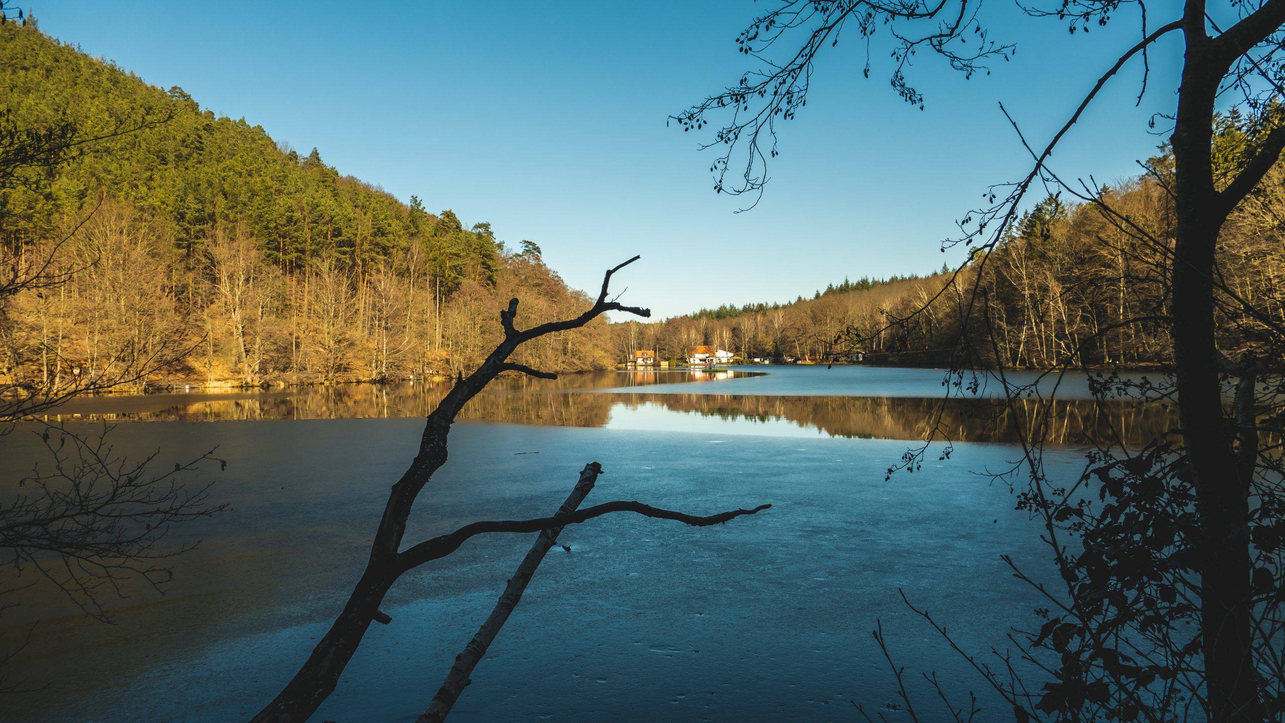 Weiher Burg Berwartstein