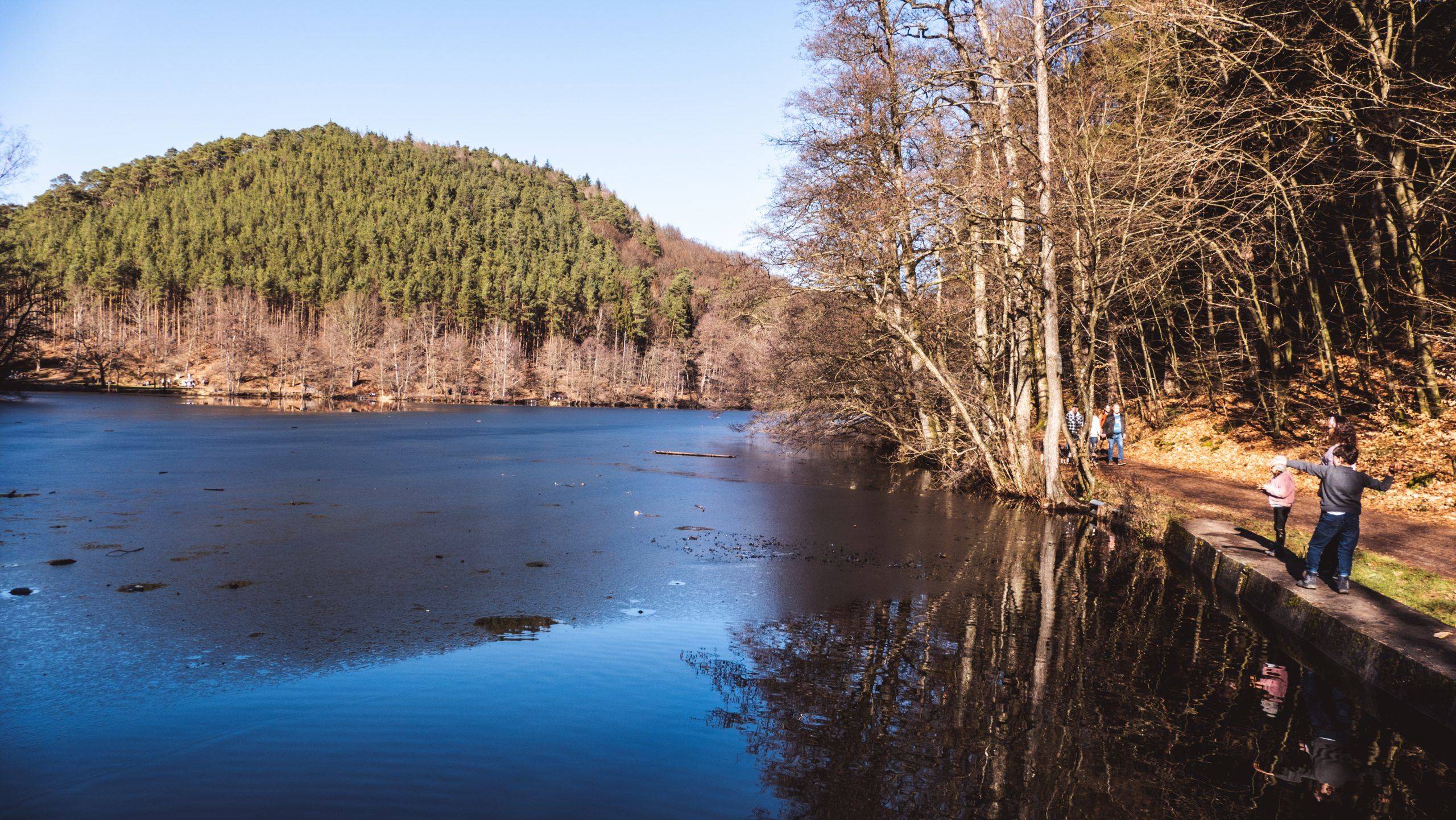 Seehof-Weiher Burg Berwartstein