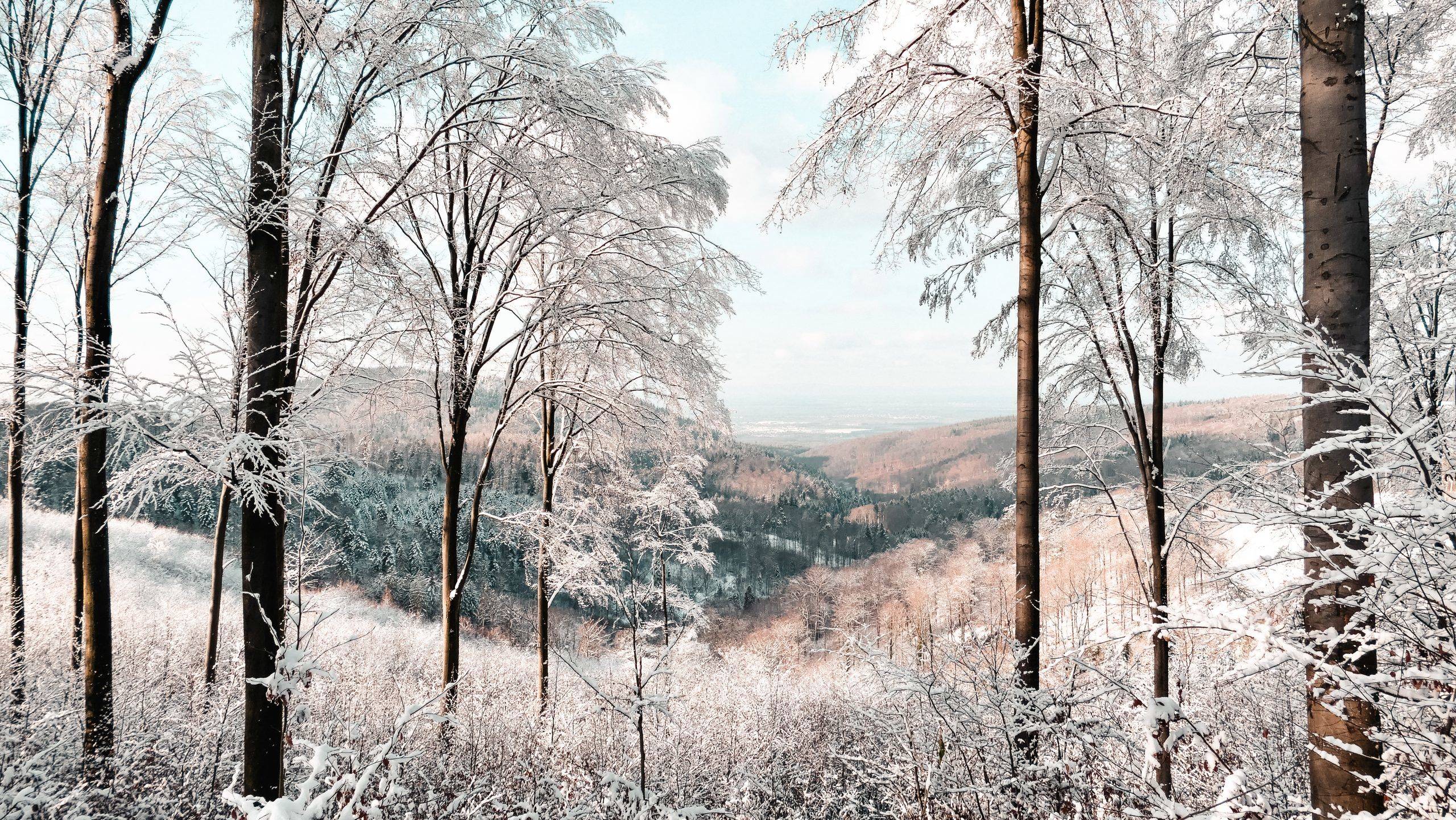 Winter Schwarwzald Ausblick