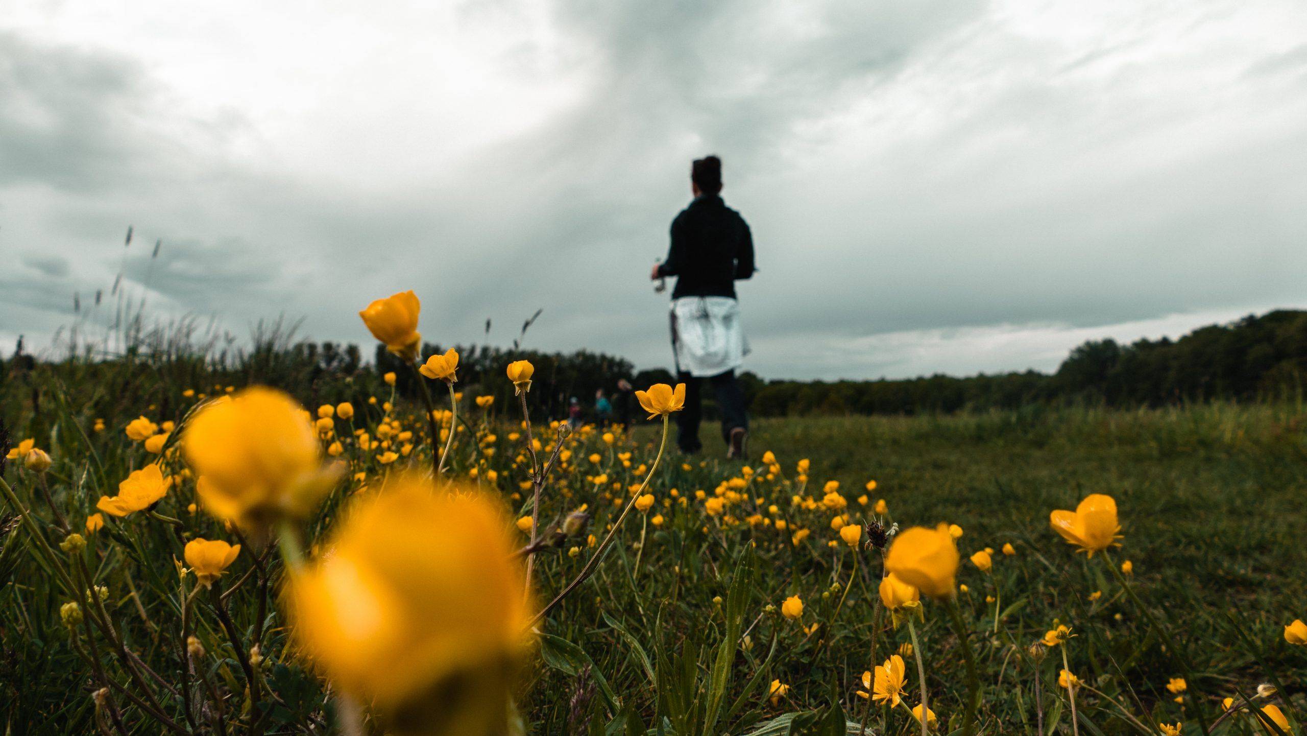 Blumenwiese Dino Tour