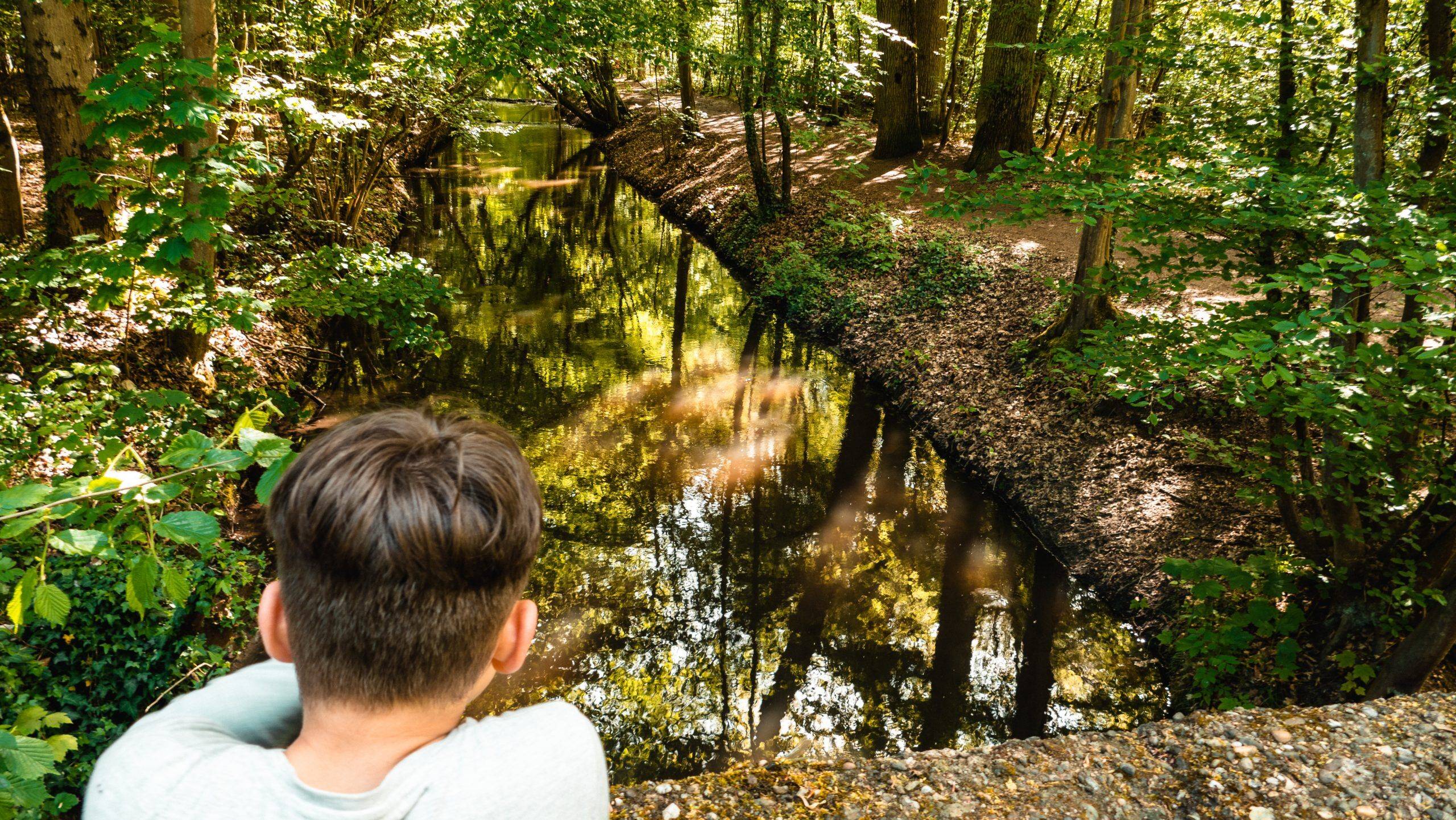 Ranschgraben Schifferstadt