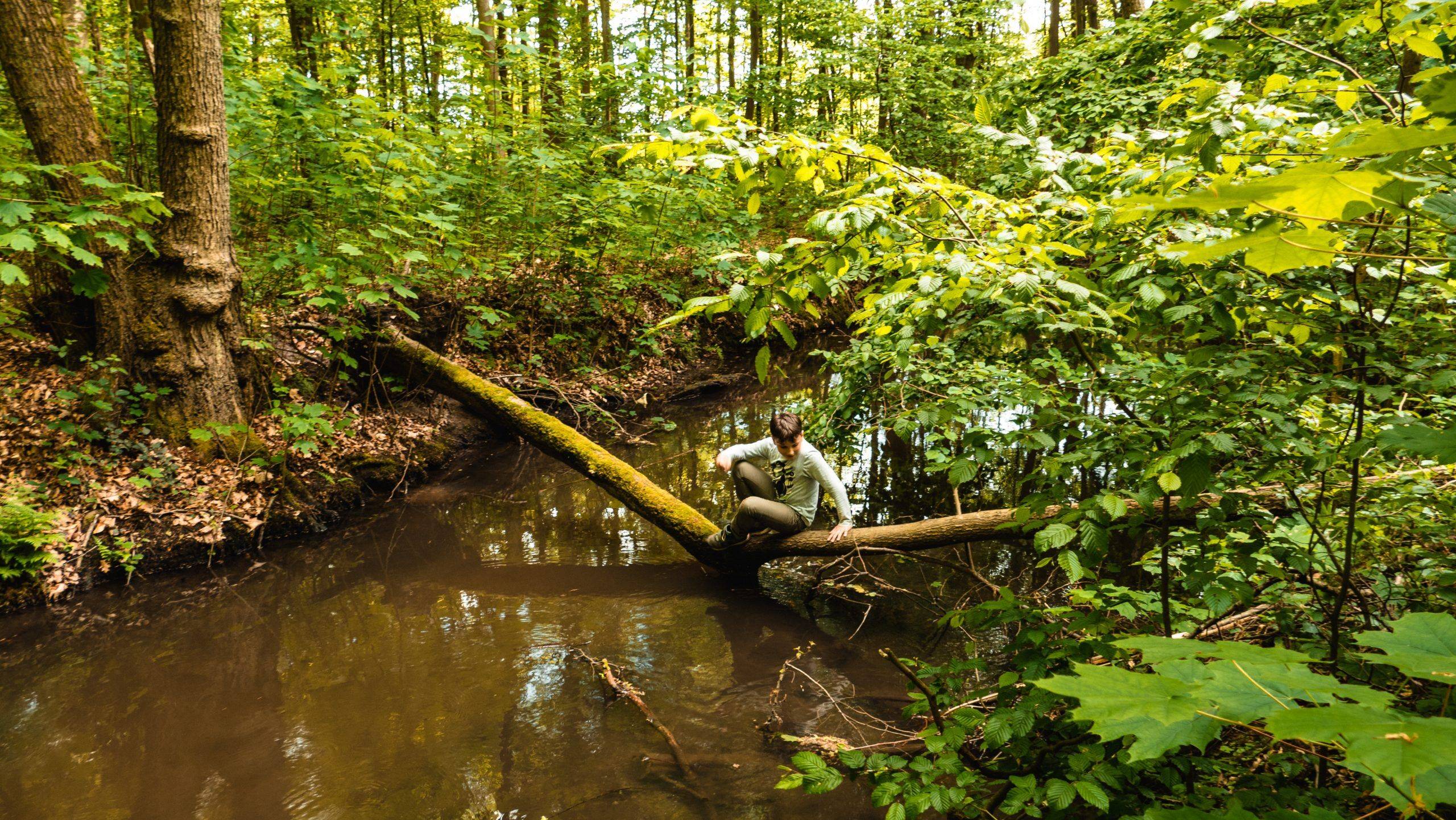Ranschgraben Schifferstadt Überquerung