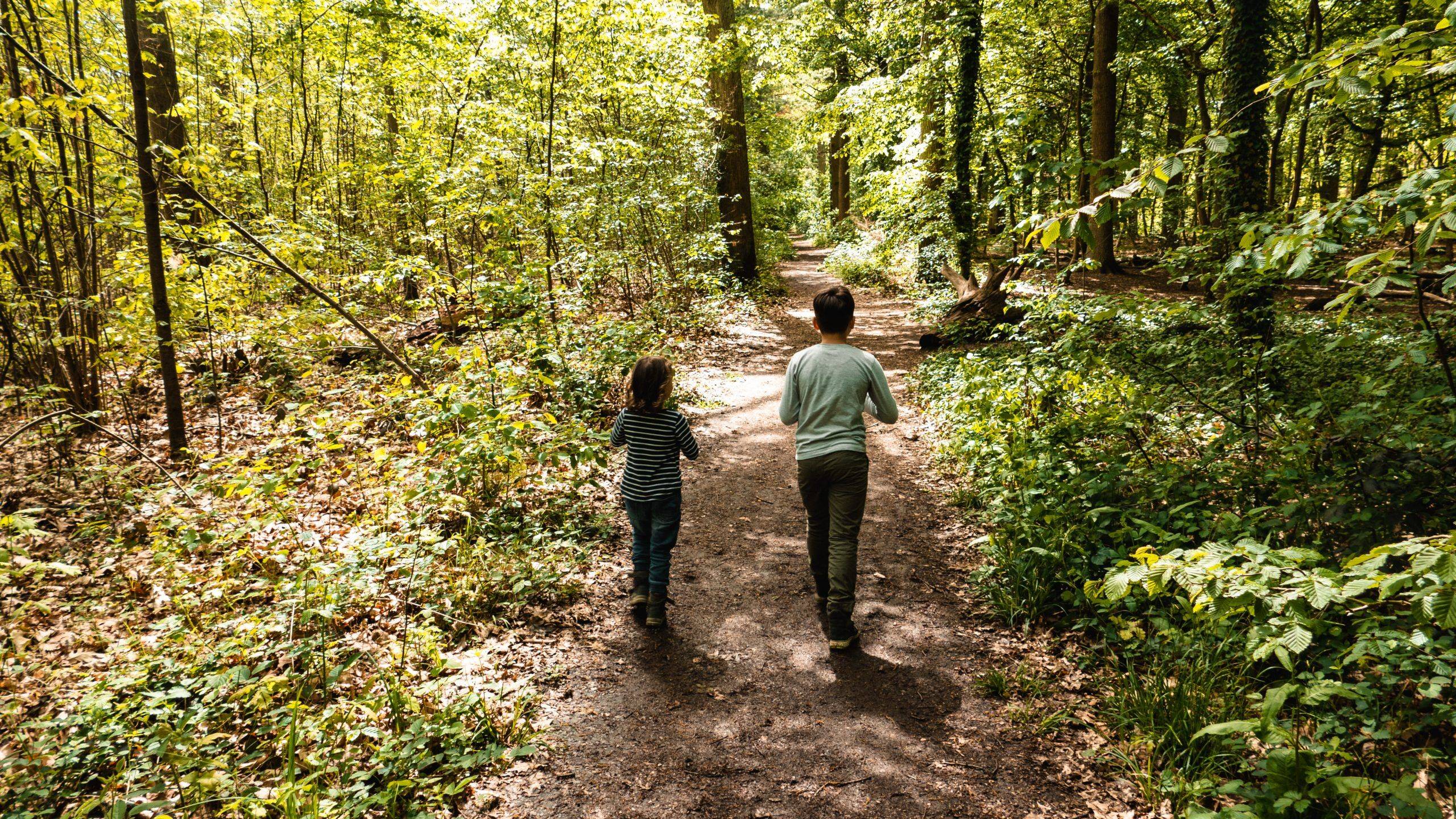 Wandern Vorderpfalz Kinder