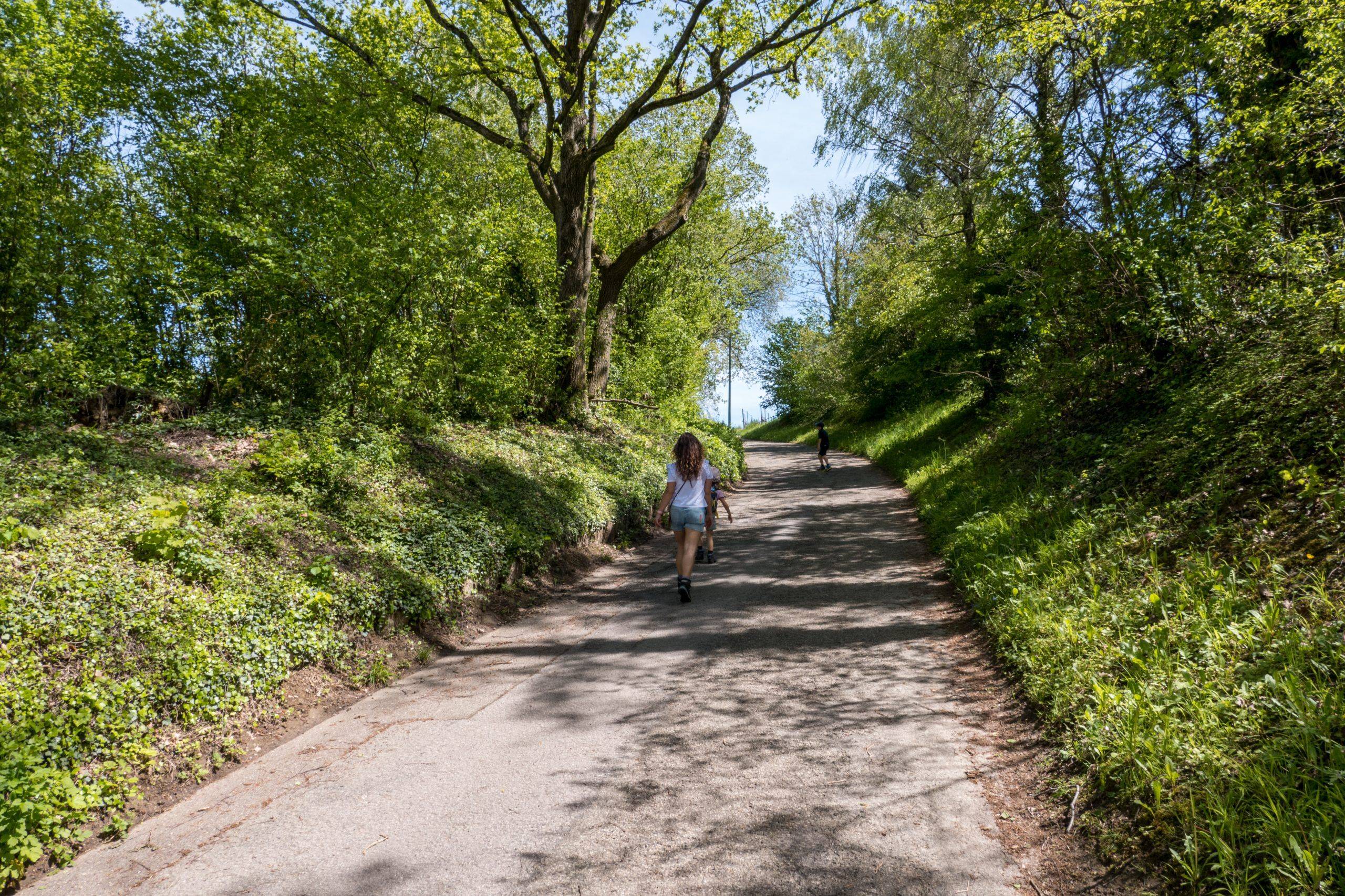 Wanderung Kinder Schwarzwald