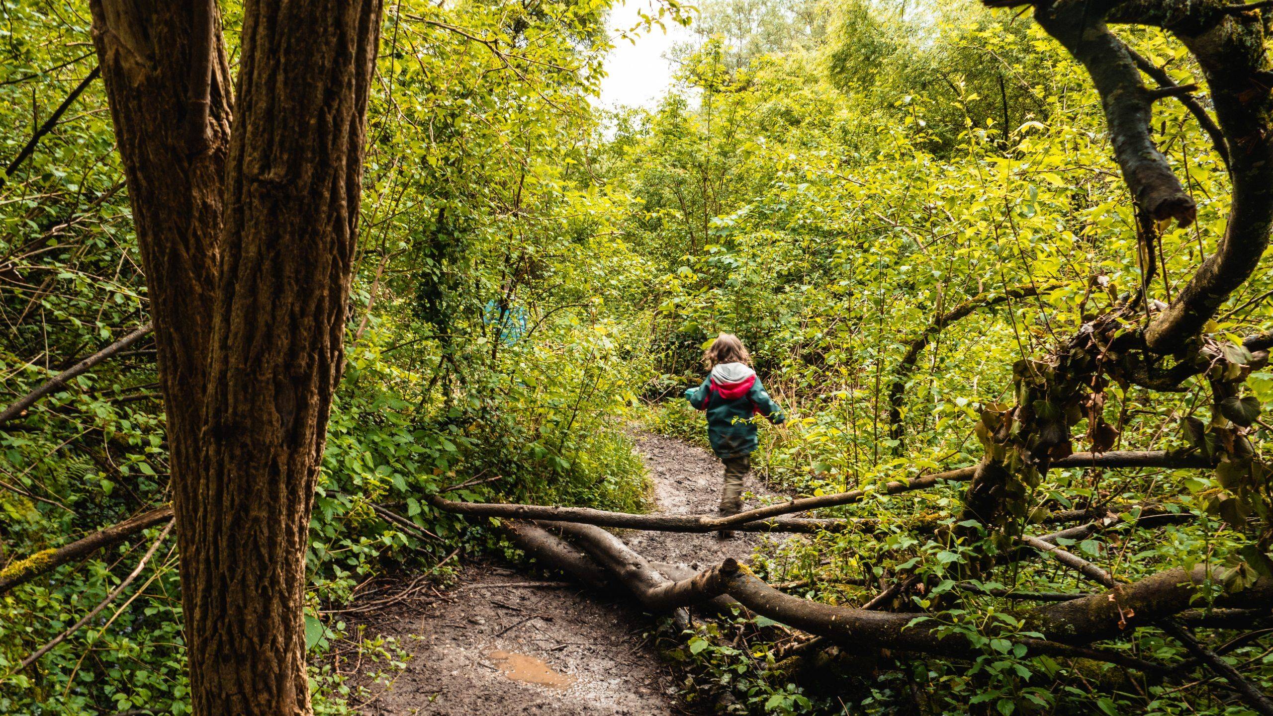 Auen-Wildnispfad Neuried