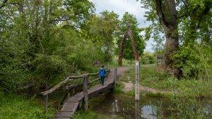 Auen-Wildnispfad Neuried Schwarzwald