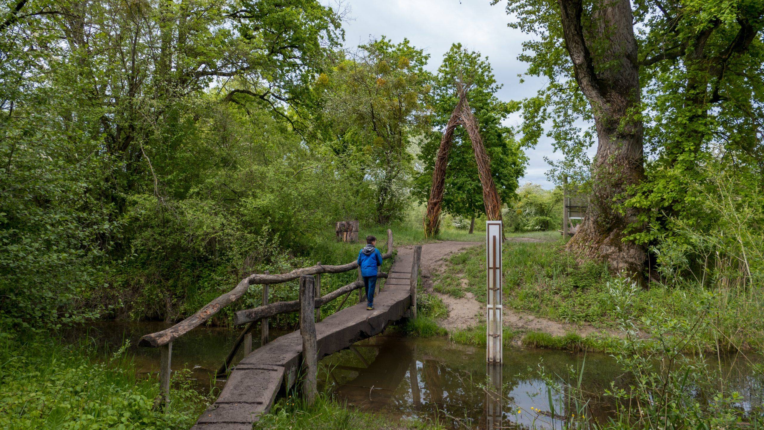 Auen-Wildnispfad Neuried Schwarzwald