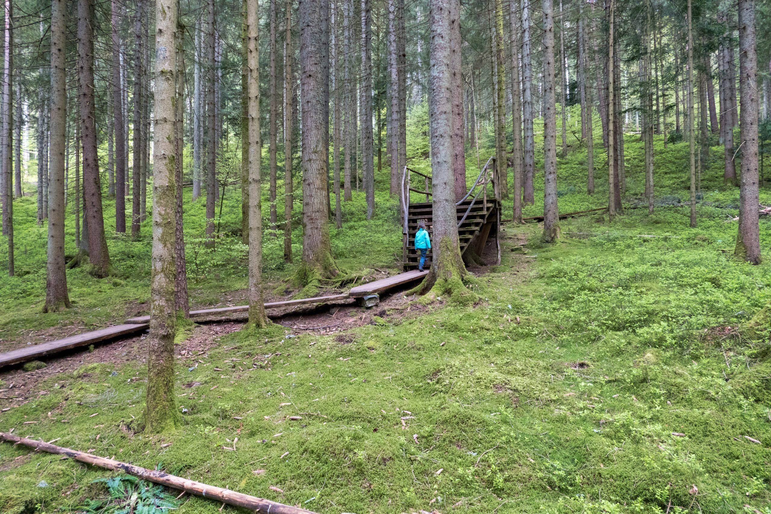 Holzbohlen Baiersbronn