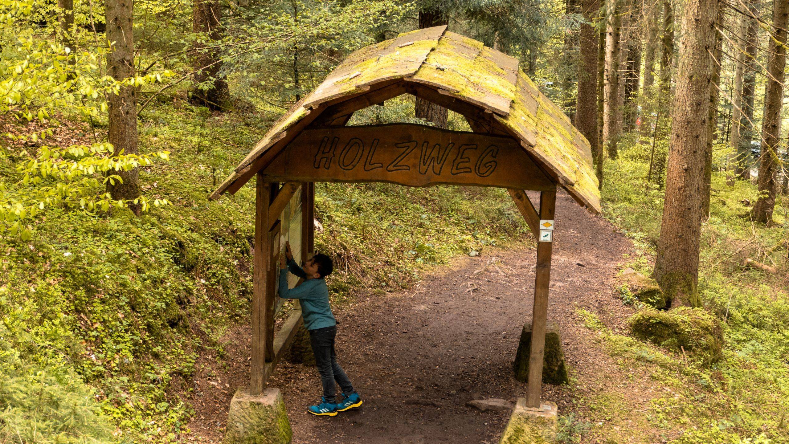 Holzportal Holzweg