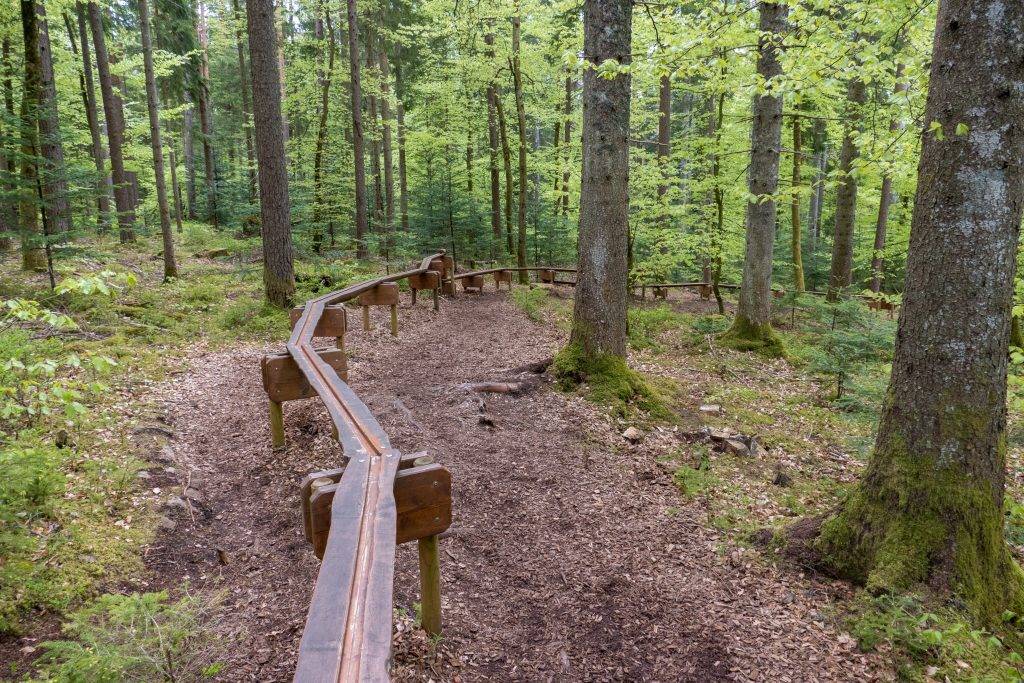 Holzweg Baiersbronn Schwarzwald