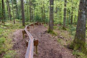 Holzweg Baiersbronn Schwarzwald