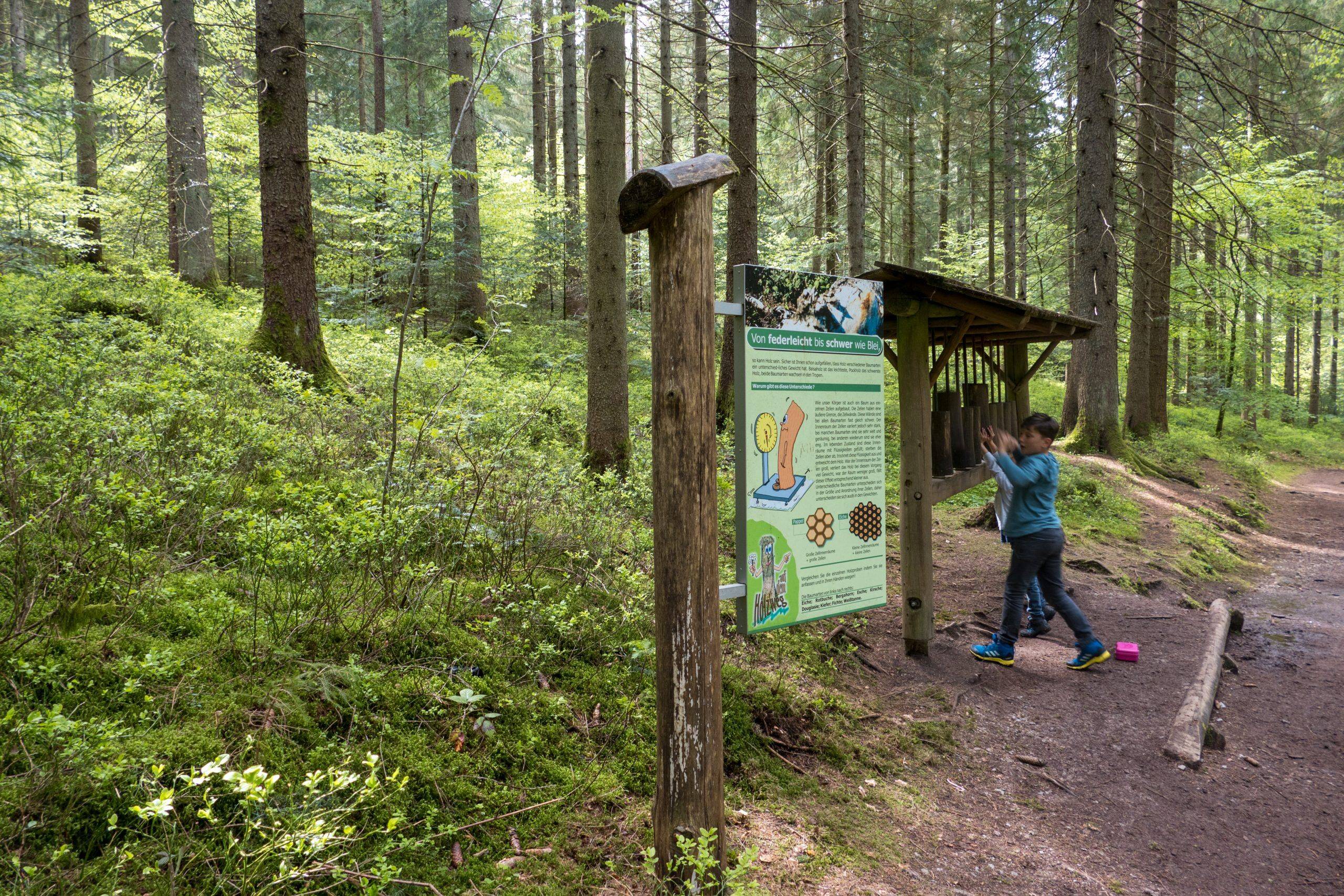 Klangspiel_Holzweg