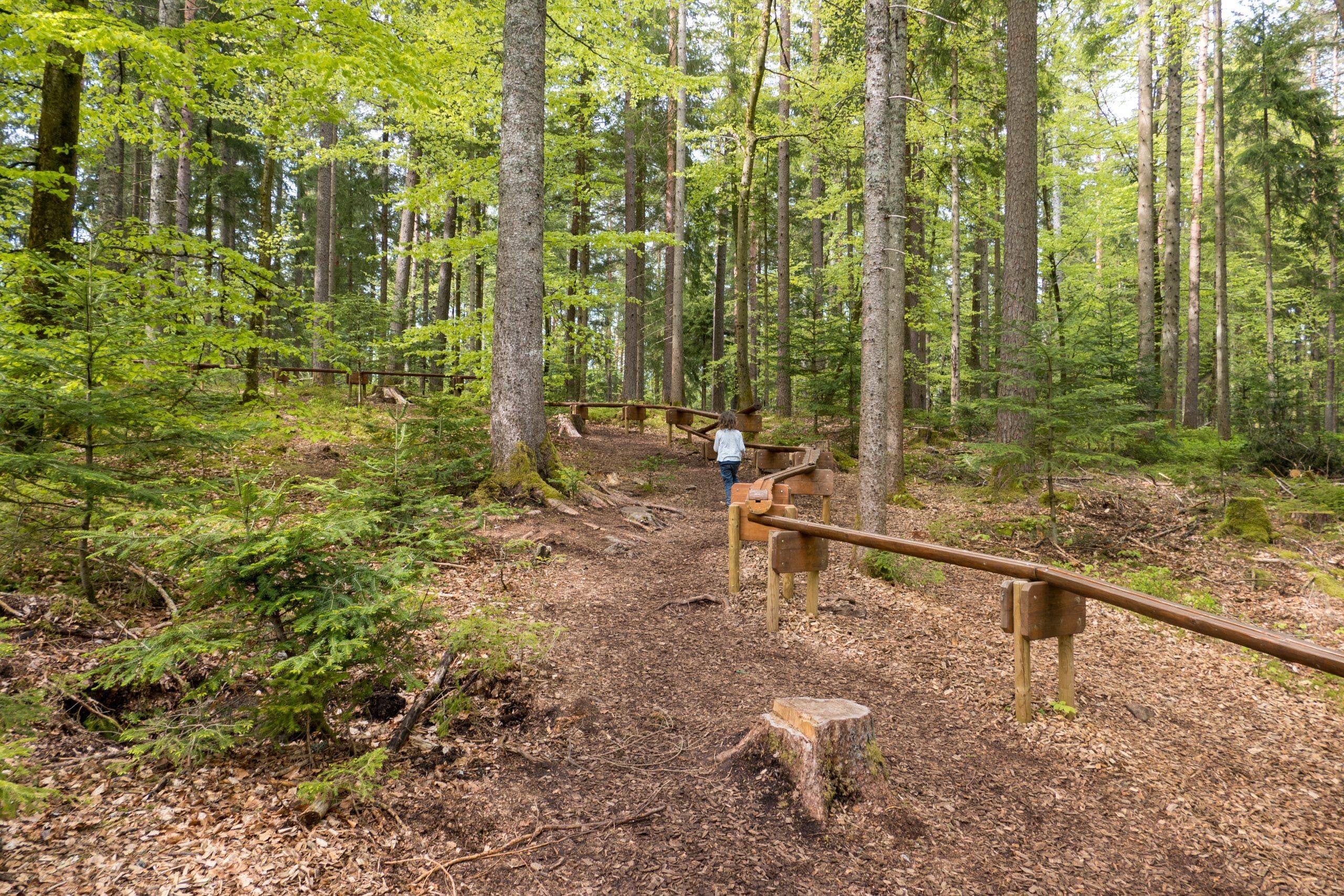 Kugelbahn Schwarzwald