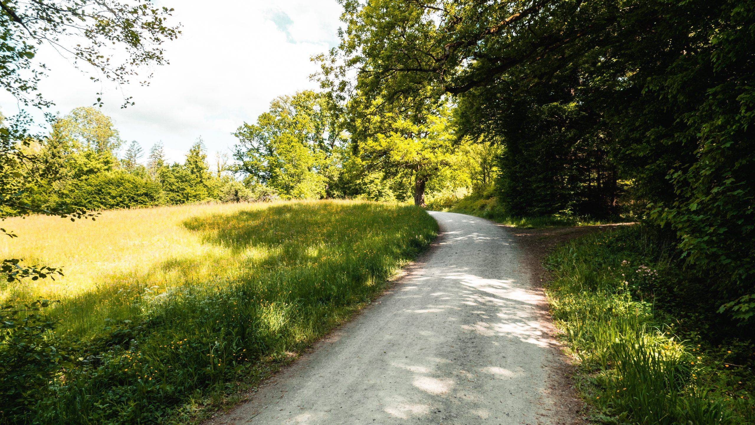 Lorch Wandern