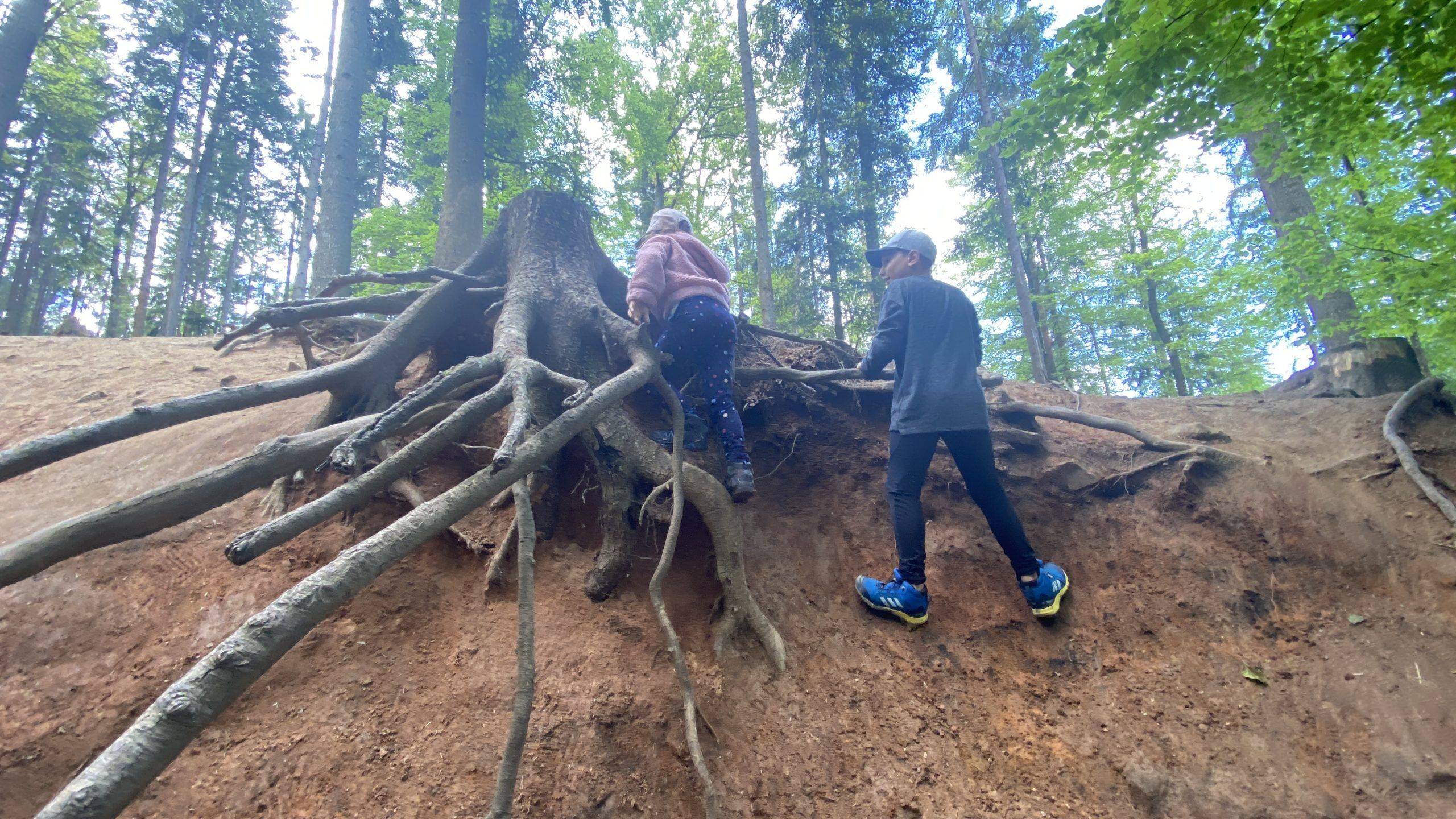 Lorch Ausflug Kinder