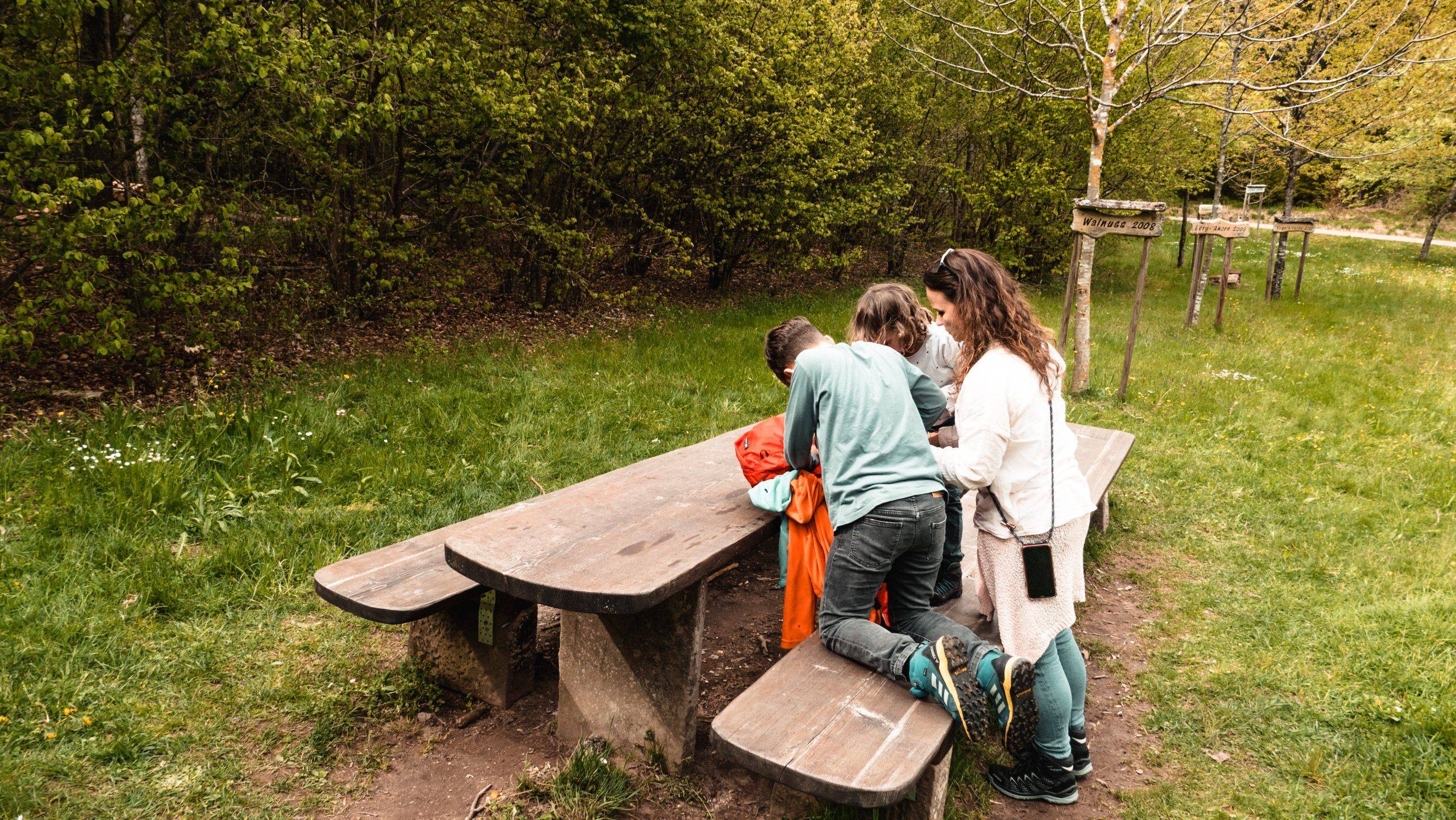 Picknick Holzweg