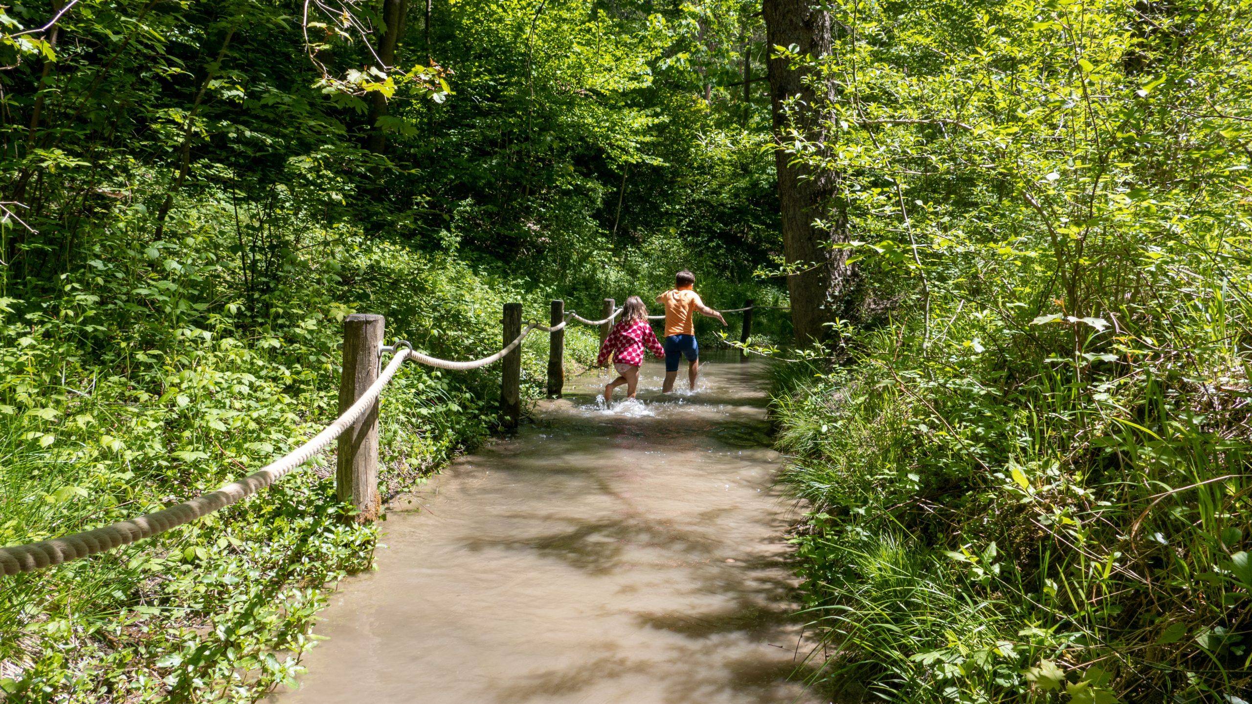 Walderlebniszentrum Ziegelwies Bachdurchquerung