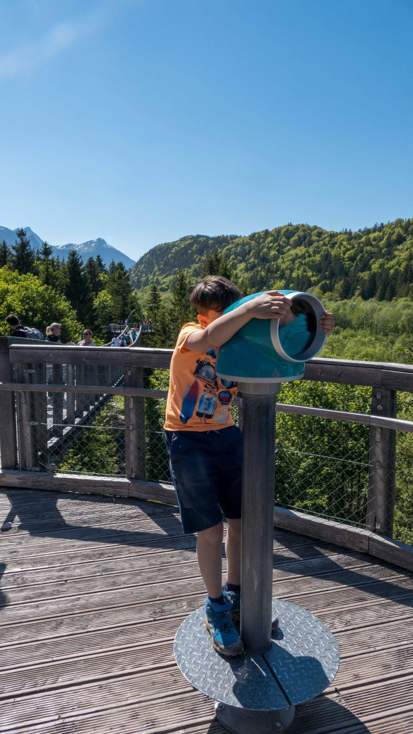 Walderlebniszentrum Ziegelwies Baumkronenweg Ausguck