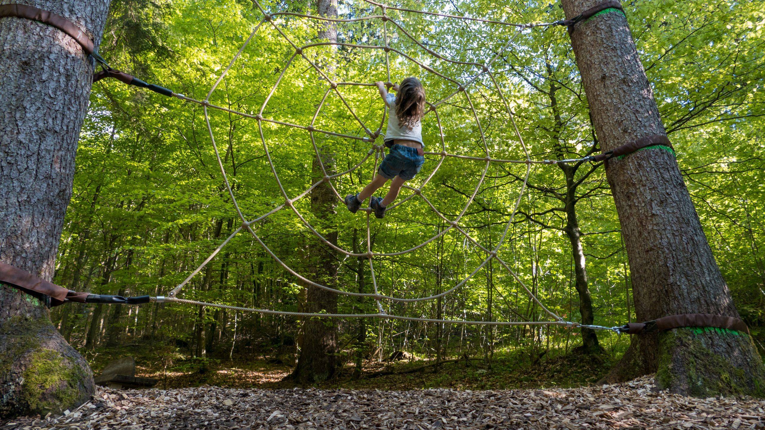 Walderlebniszentrum Ziegelwies Berwaldpfad Spinnennetz