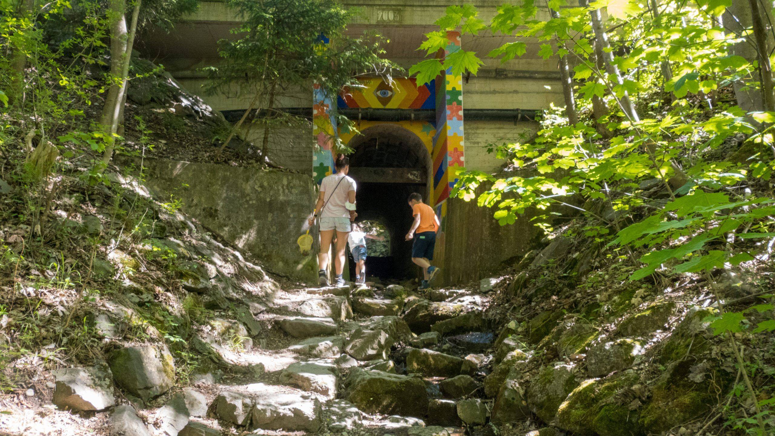 Walderlebniszentrum Ziegelwies Einstieg Bergwaldpfad