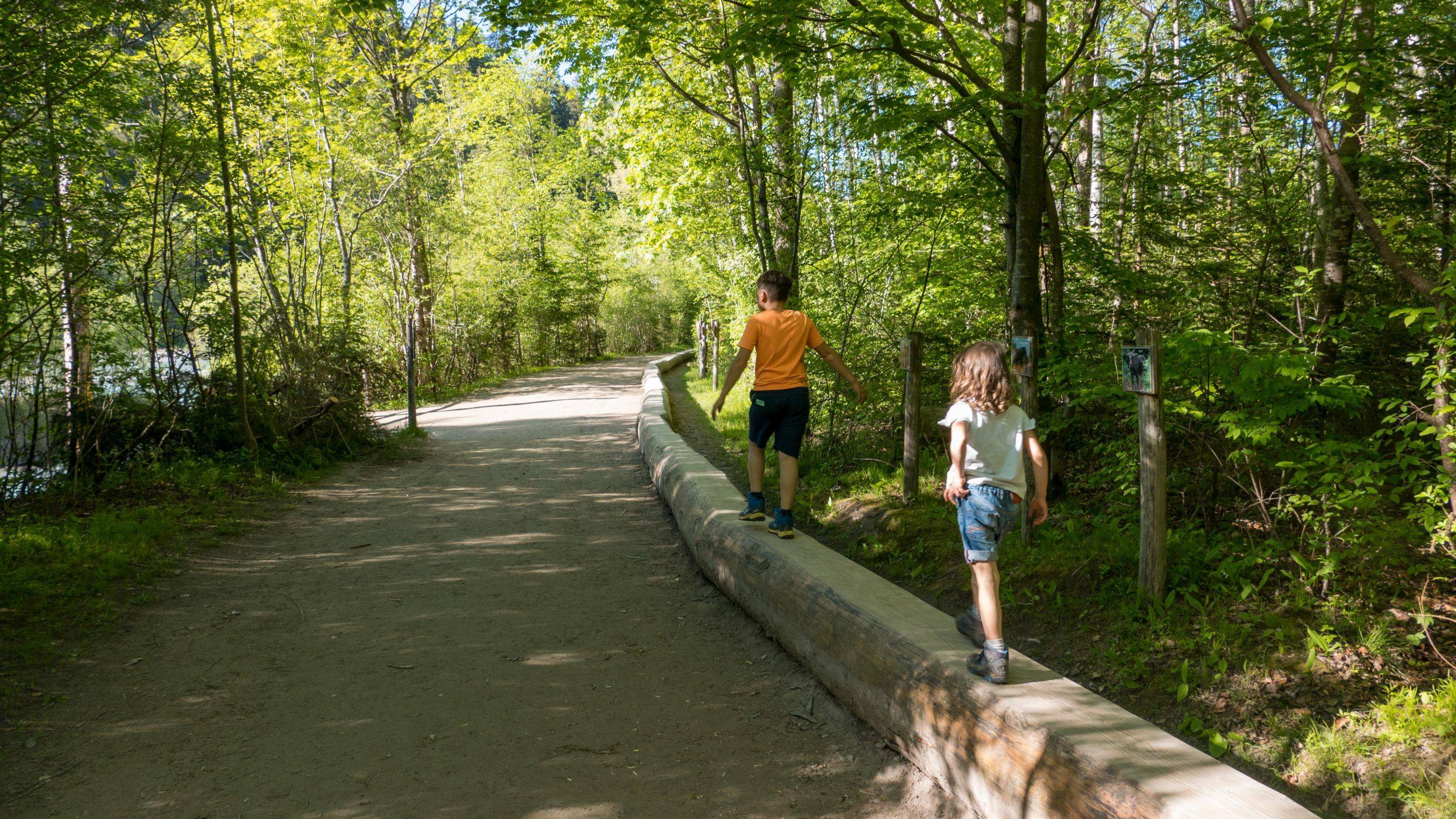 Walderlebniszentrum Ziegelwies Wandern Auwaldpfad