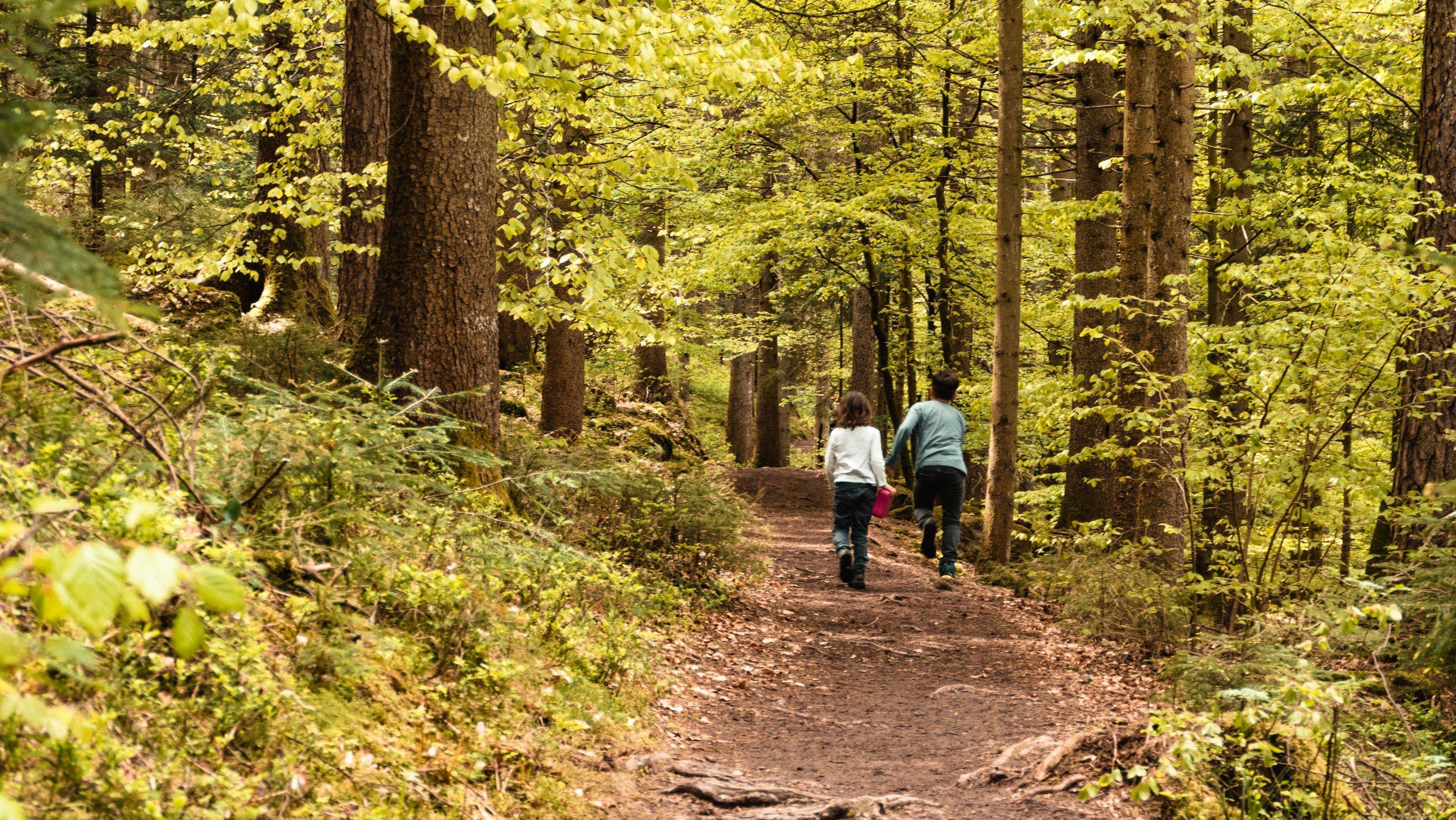 Wandern Kindern Baiersbronn