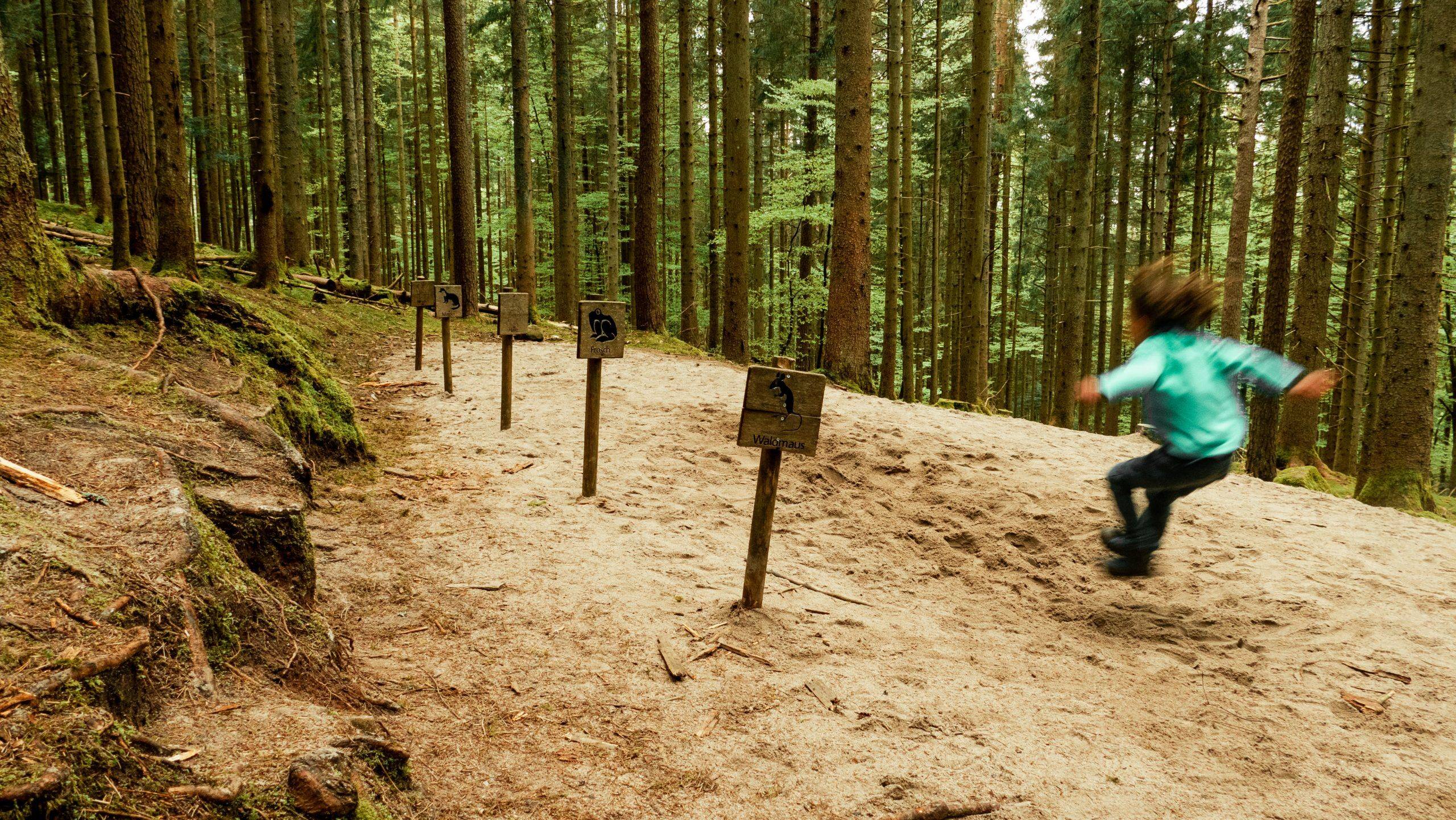Weitsprung Holzweg Schwarzwald