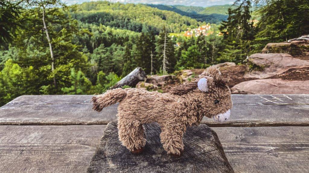 Ausflugsziele Rheinland-Pfalz