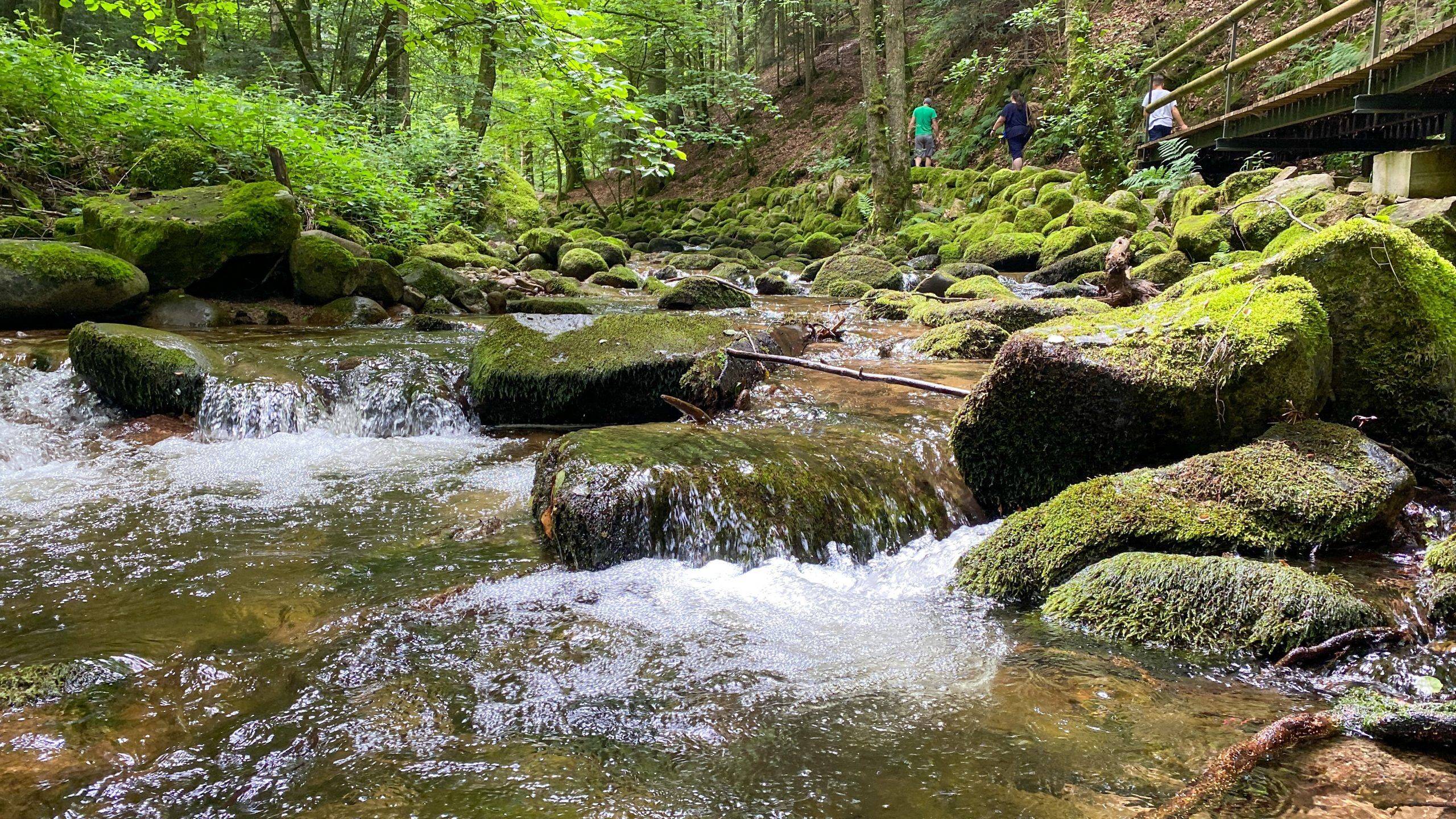 Grobbach Schwarzwald Wasser