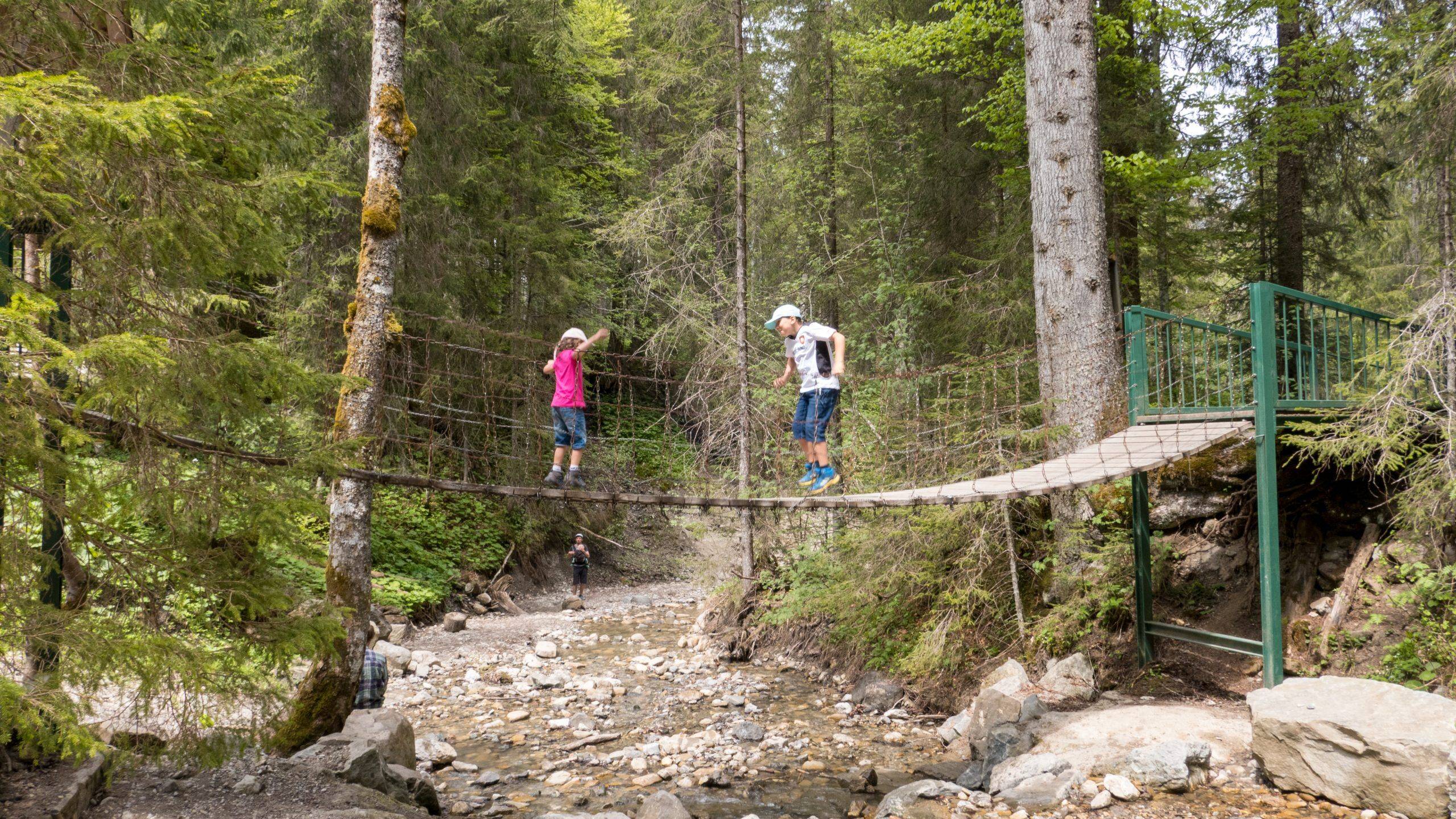Hängebrücke Naturpsielplatz Allgäu