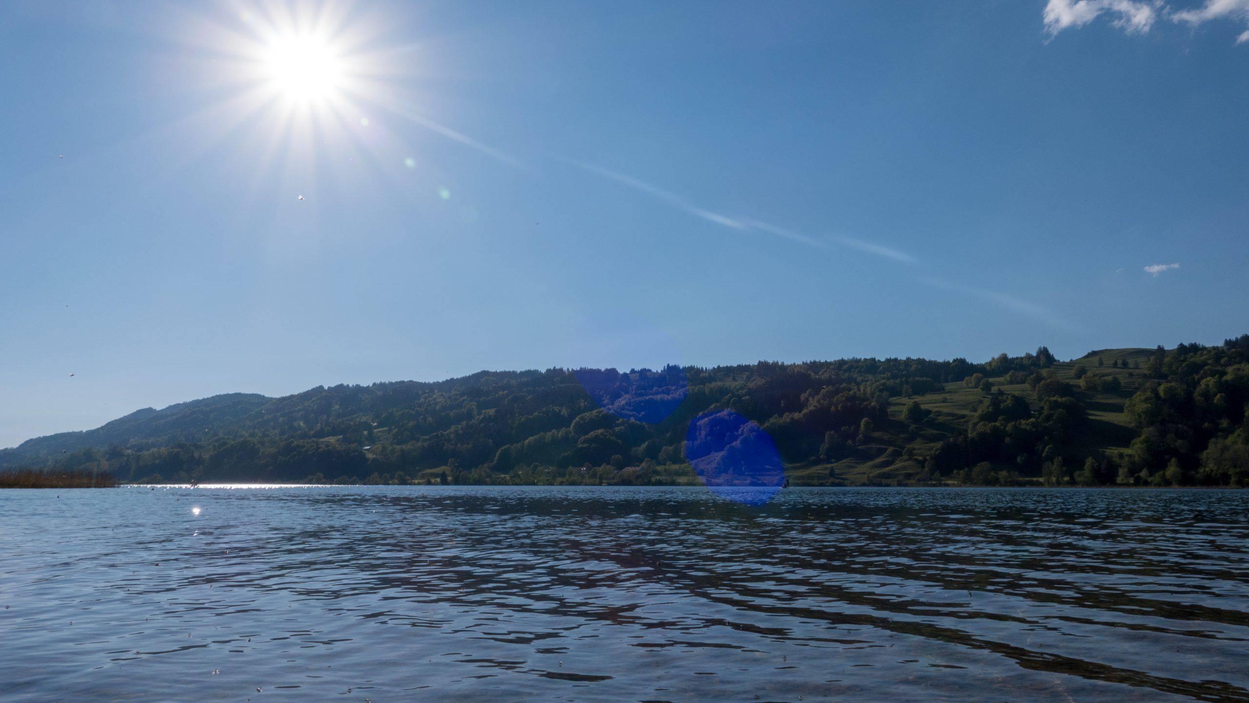 Schwimmen Alpsee