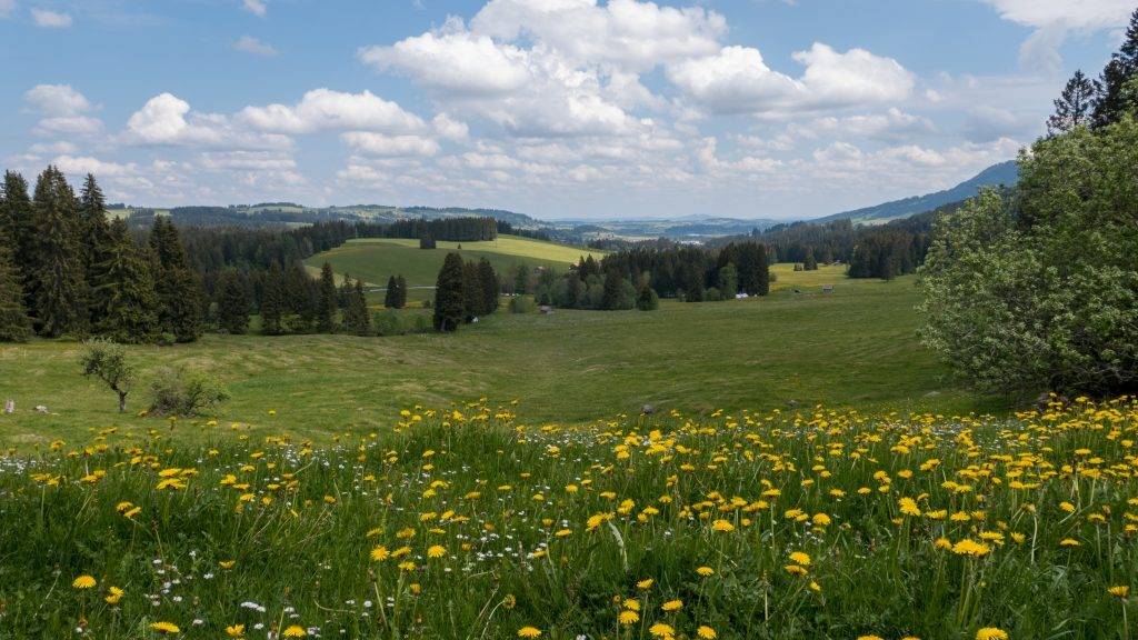 Wandern Wertag Allgäu