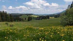 Wandern Wertag Allgäu