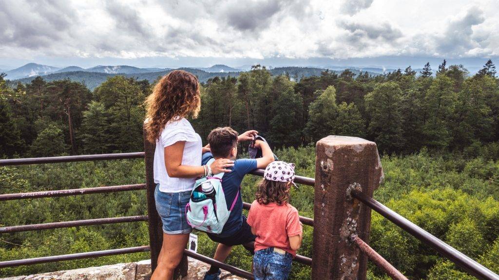 Ausblick Schänzelturm Wandern Pfälzerwald