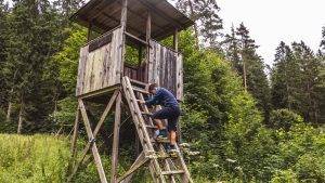Ausguck Holzwurmpfad Kinder Wandern