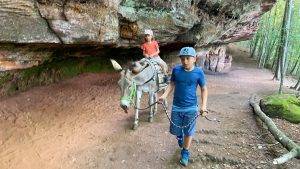 Kinder Wandern Esel Pfalz