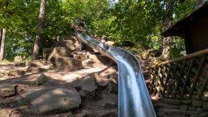 Riesenrutsche Hohe Loog Pfälzerwald