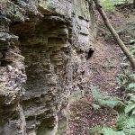 Steinbruch Dunzelloch Rheinhessen