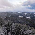 Schwarzwald Winter