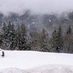 Seebach Schnee Schwarzwald