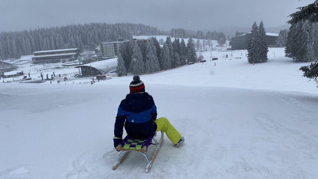 Schlittenfahren Feldberg Schwarzwald