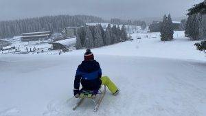 Schlittenfahren Feldberg Schwarzwald