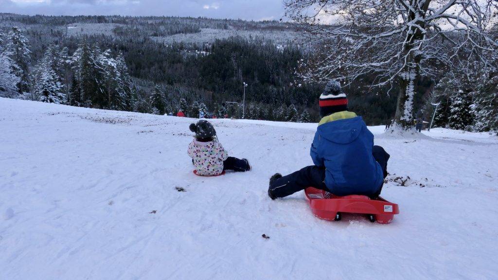 Sommerberg Schlittenfahren Bad Wildbad