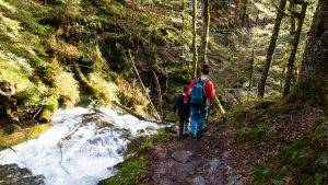 Windberg Wasserfal lSchwarzwald