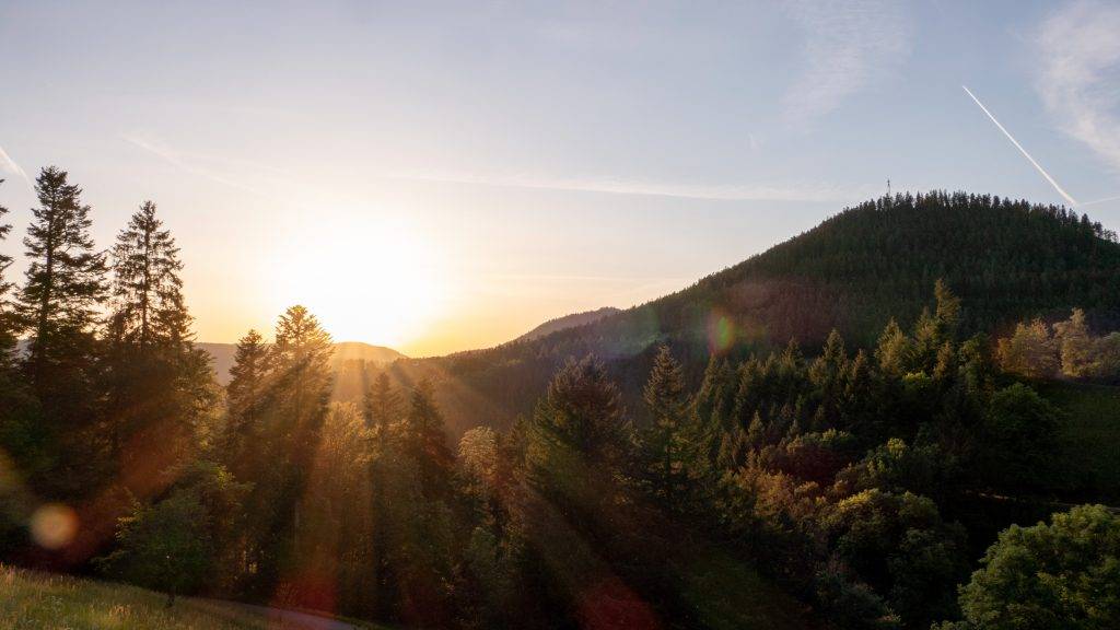 Schwarzwald Abendstimmung