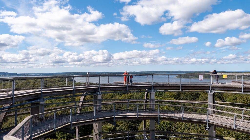 Baumwipfelpfad Rügen