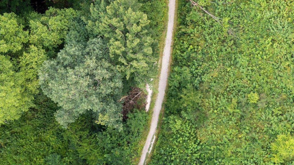 Hängeseilbrücke_Hunsrück von Oben