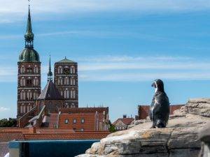 Ozeanum Stralsund